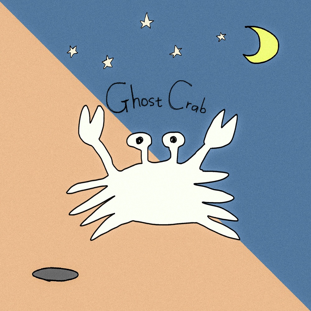 Ghost Crab